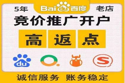 百度竞价代运营成功案例解析